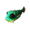 De mousse