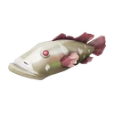 Ocrée